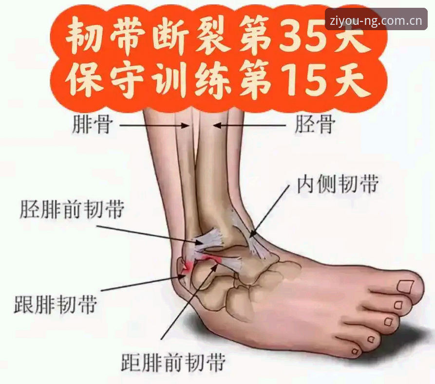 注册平台入口中国官方旧版登录失败 一次脚踝的撕裂,如何重创德国队的防线?